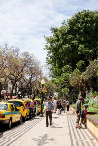 Central Funchal Apartment - Garden - Free Parking & Ac Ngoại thất bức ảnh