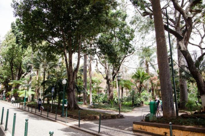 Central Funchal Apartment - Garden - Free Parking & Ac Ngoại thất bức ảnh